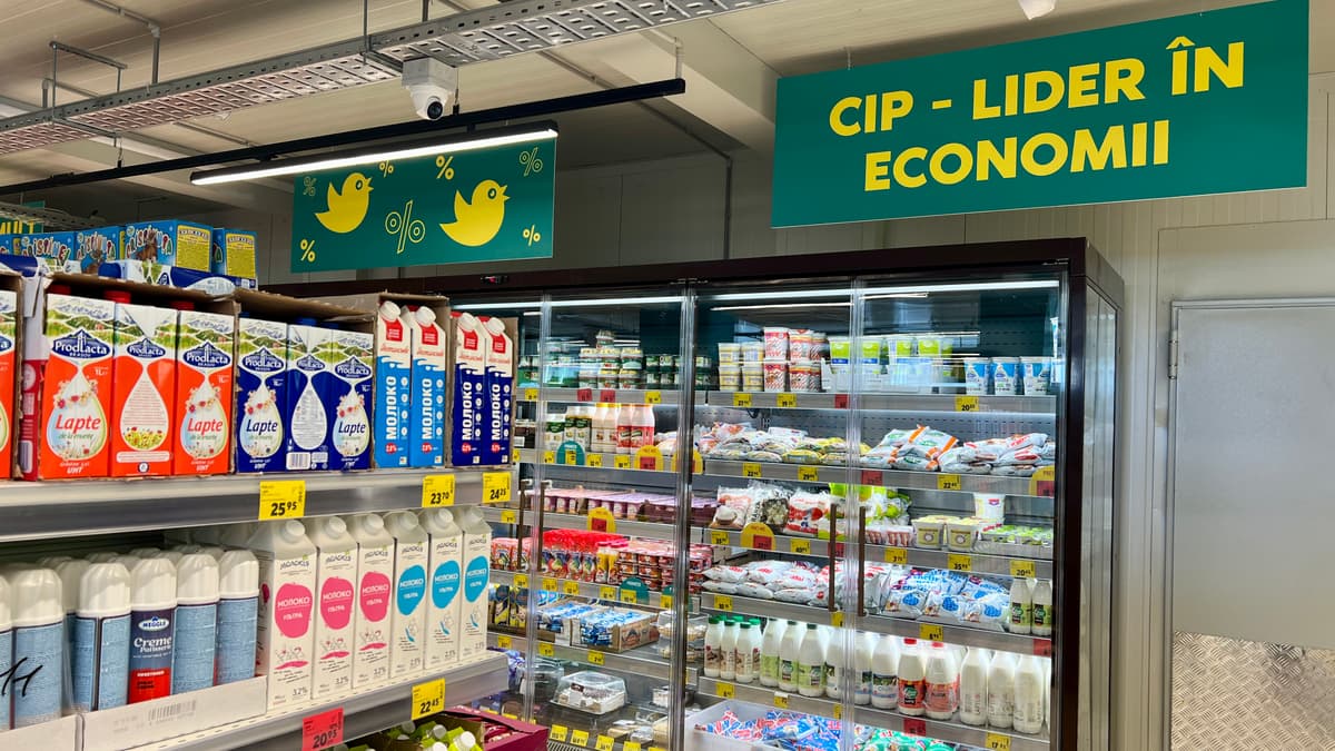 cip news