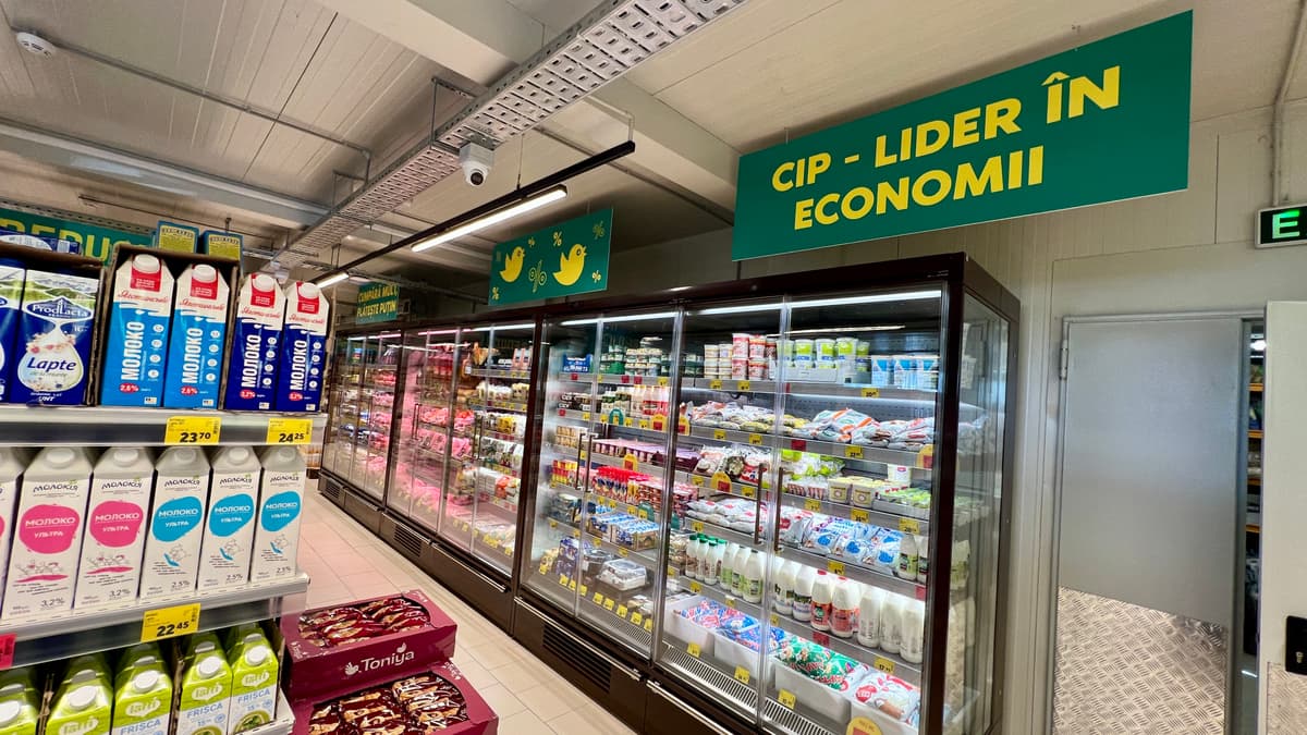 cip news
