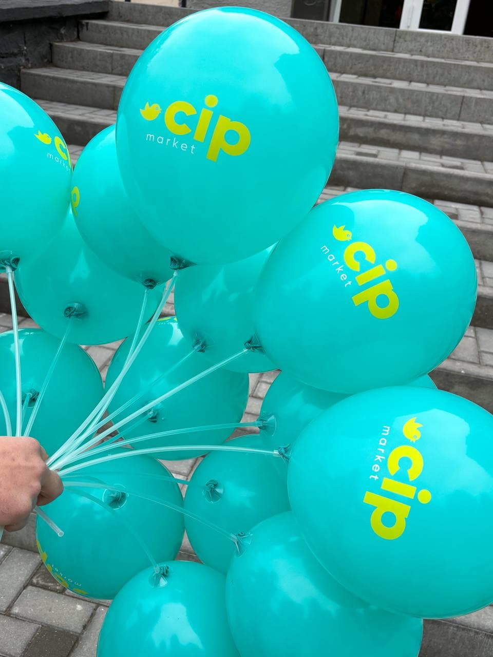 cip news